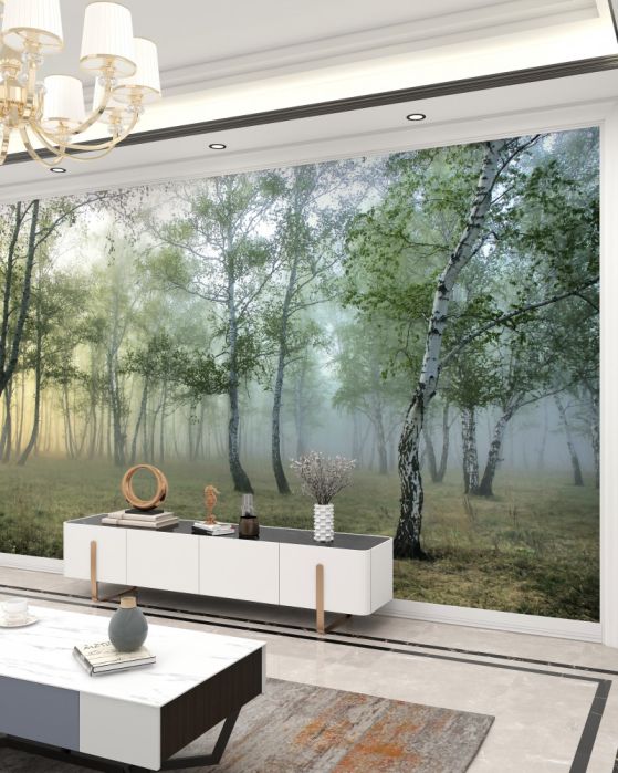 Papier peint Bouleau